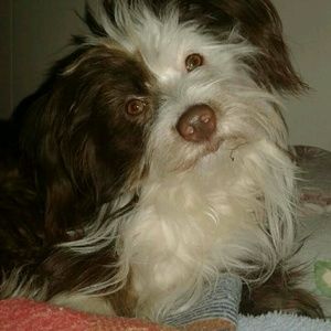 Meet your Posher, Gigi